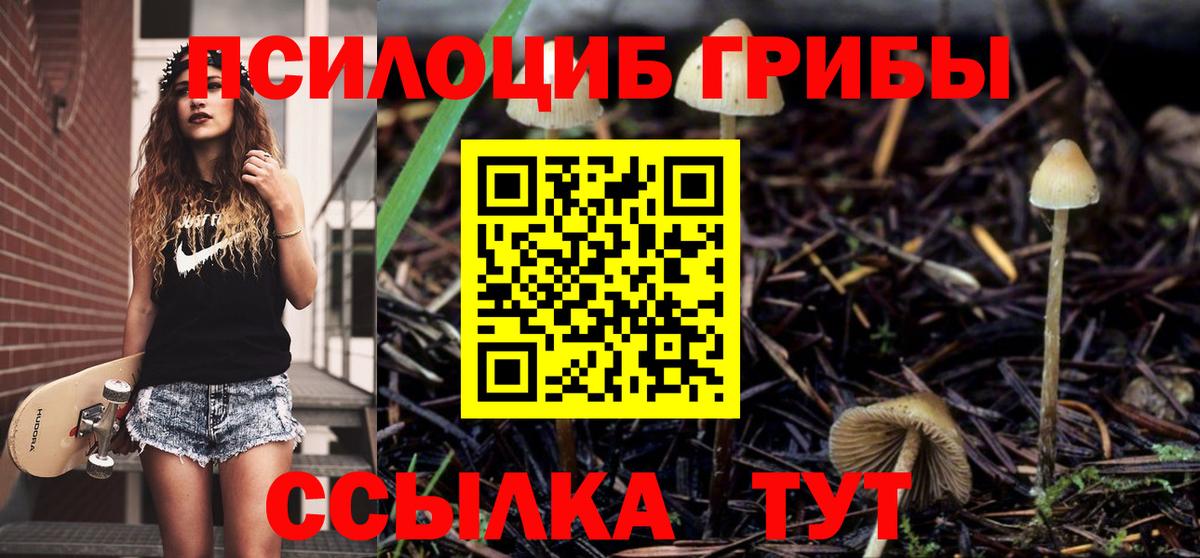 Галлюциногенные грибы Psilocybe  Псилоцибиновые грибы GOLDEN TEACHER  Изобильный  Вход с VPN 