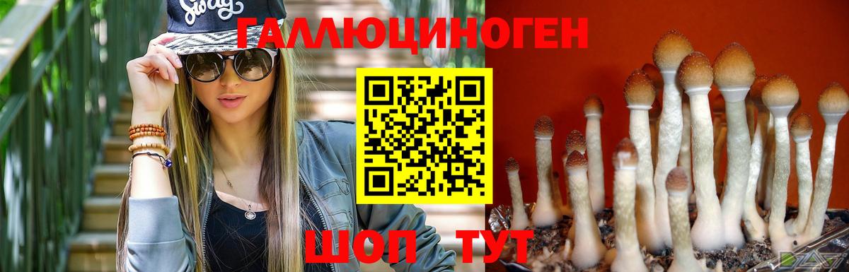 Псилоцибиновые грибы GOLDEN TEACHER Изобильный